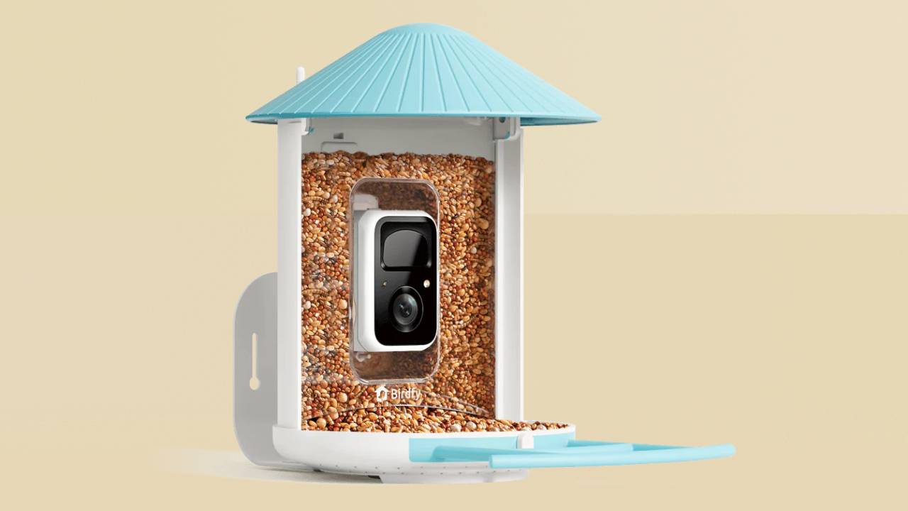 Birdfy Feeder