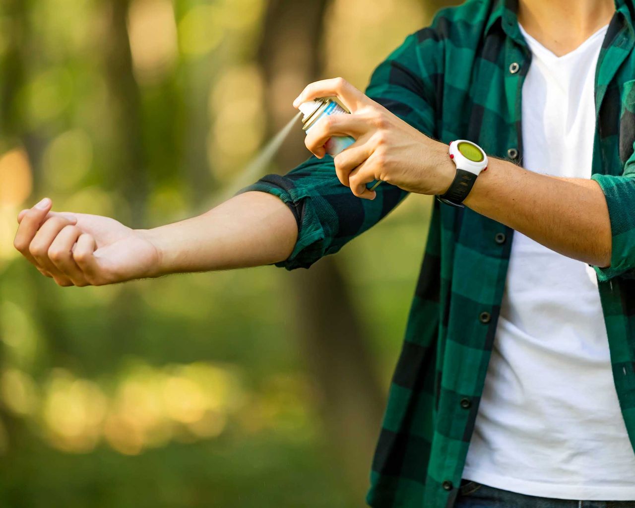 How to get rid of chiggers easy tips to beat the bugs Gardeningetc