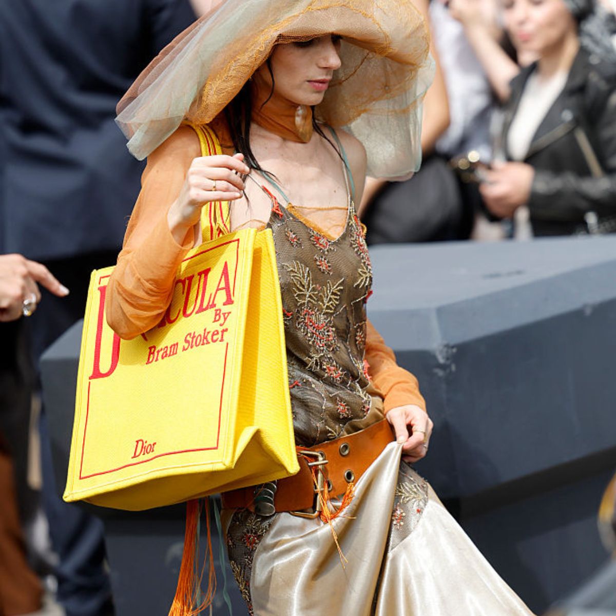 dior book tote
