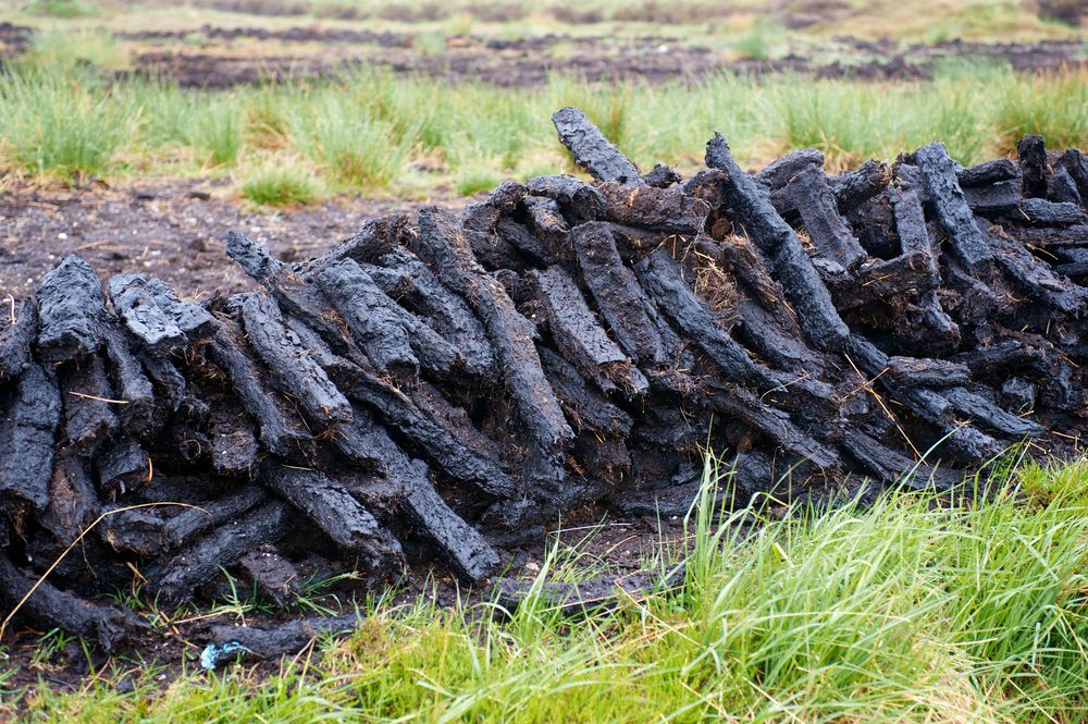 peat-bogs