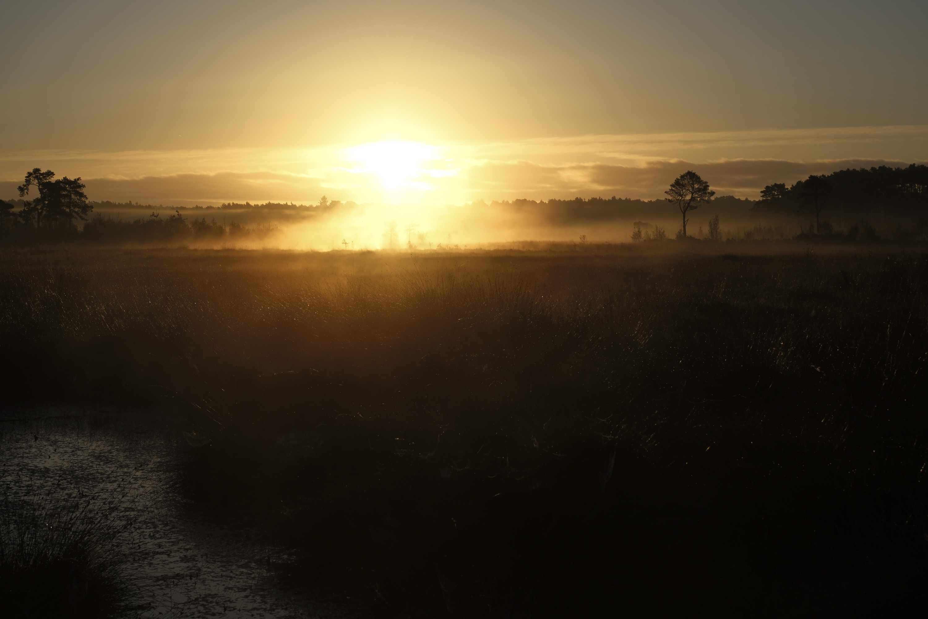 Autumn sunrise over a common in the UK, taken with the Fujifilm X-M5