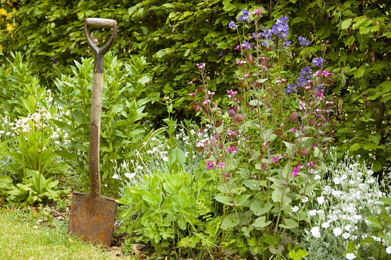 how much does a cottage garden cost? what to budget for