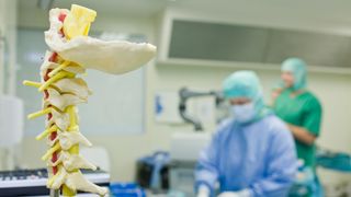 close up photo on a 3d model of the human spinal cord placed in front of clinicians in scrubs getting ready for surgery