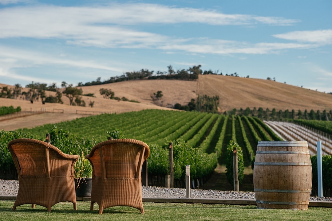 Soumah vineyard and winery