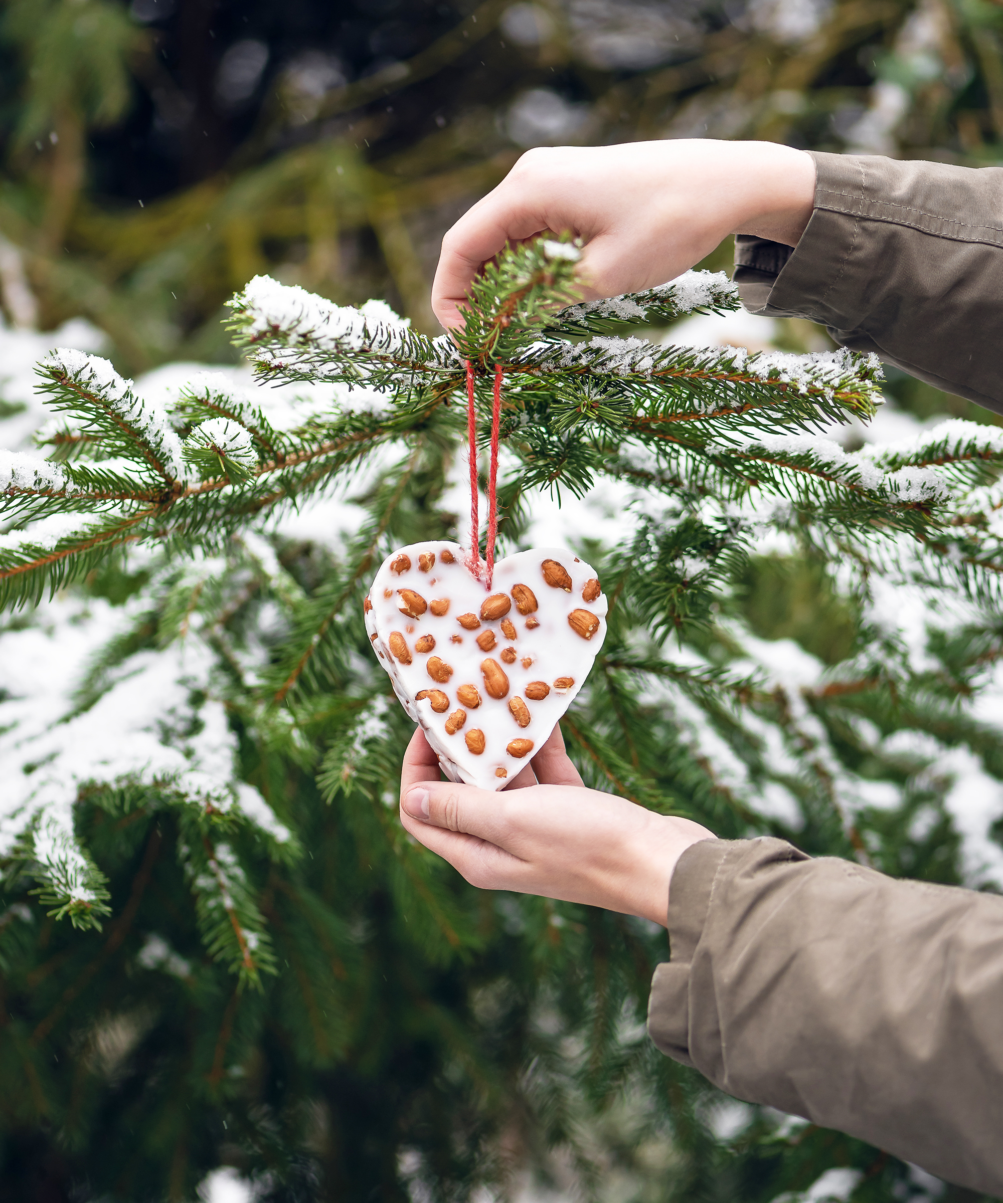 Hanging a heart-shaped homemade peanuts cake in the winter garden