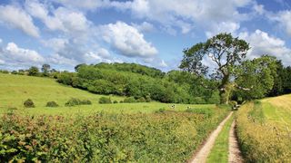 Countryside