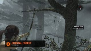 Tomb Raider Coastal Forest Totem #1