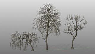 Realistic 3D trees