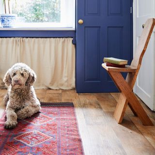 Shaggy dog laying on a red rug on wooden floor in a hallway