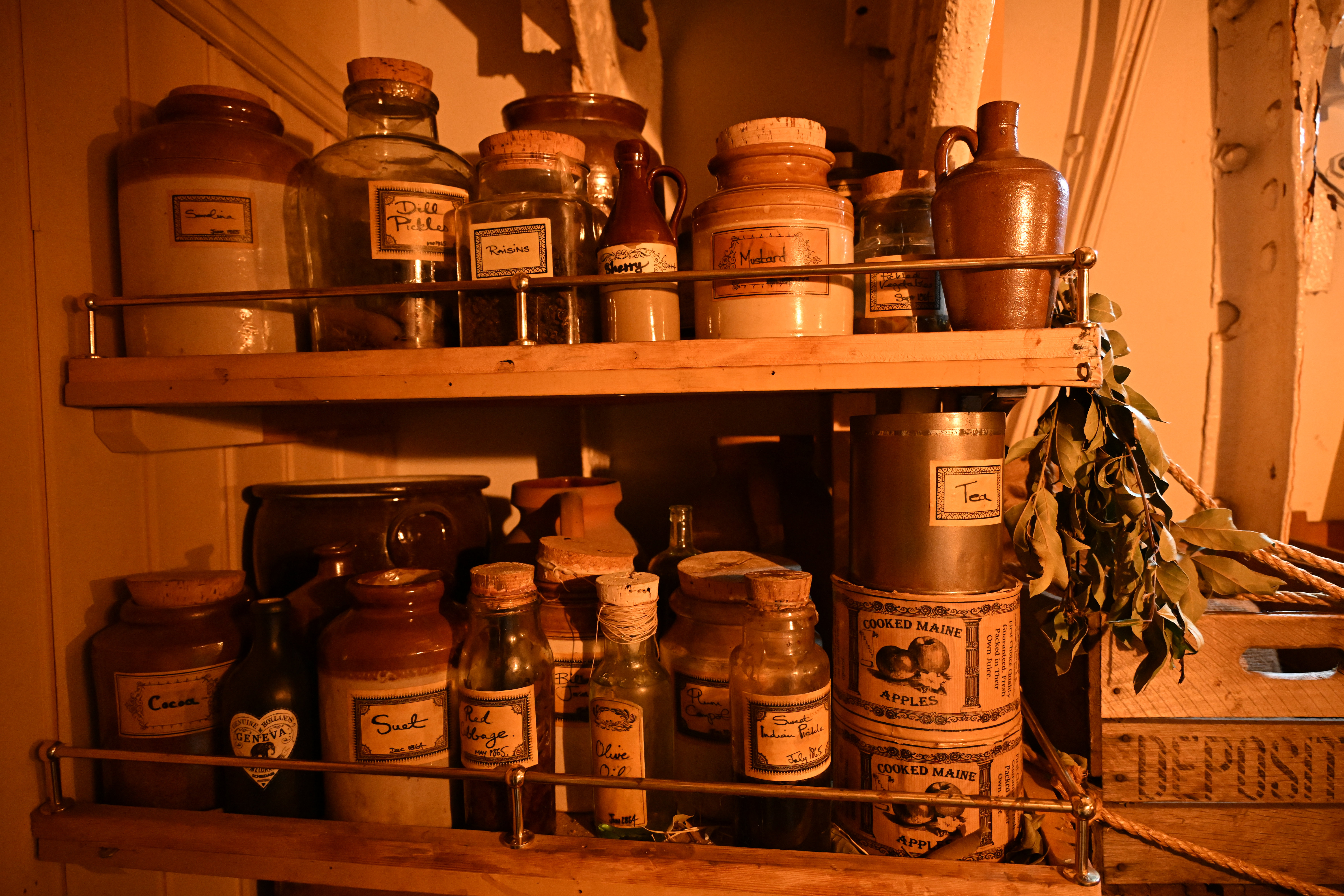 Nikon Z 24-105mm f/4-7.1 sample shot