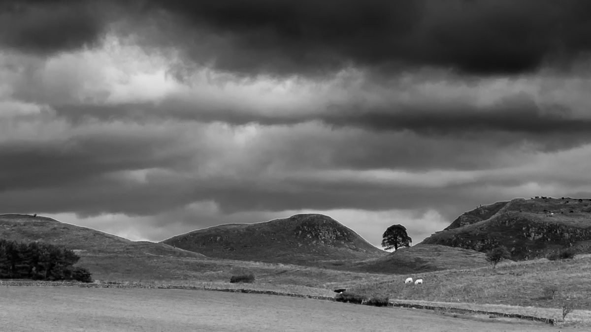 Sycamore Gap