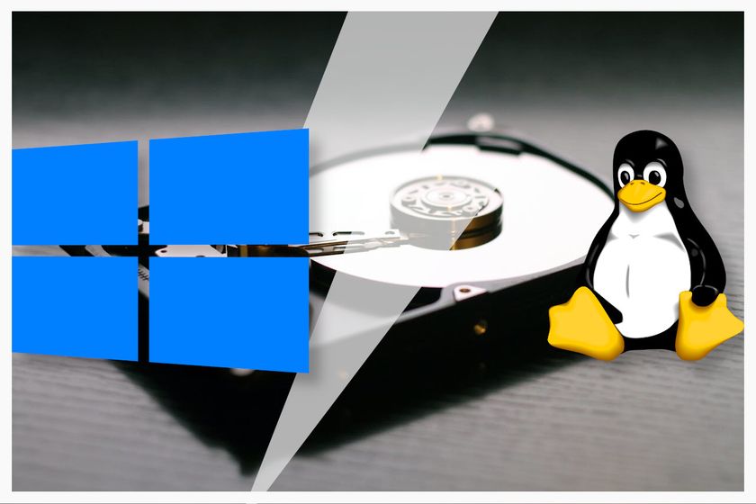 dual booting Windows and Linux
