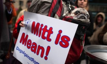 The group Dogs Against Romney protests in New York: The GOP frontrunner can't seem to escape a 30-year-old story about his dog's controversial rooftop car ride.