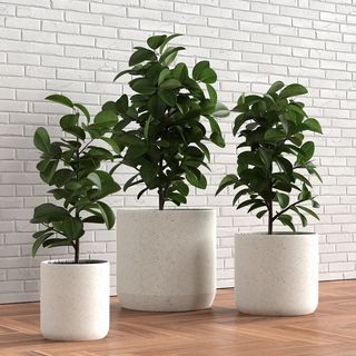 Large Three-Piece Ceramic Pot Planter Set