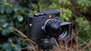 Leica M11 focus peaking vs rangefinder