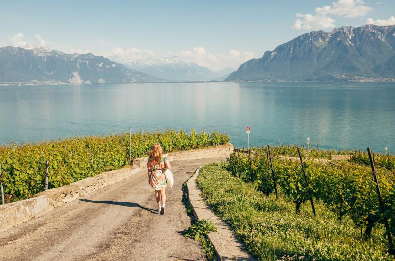 Lavaux walking
