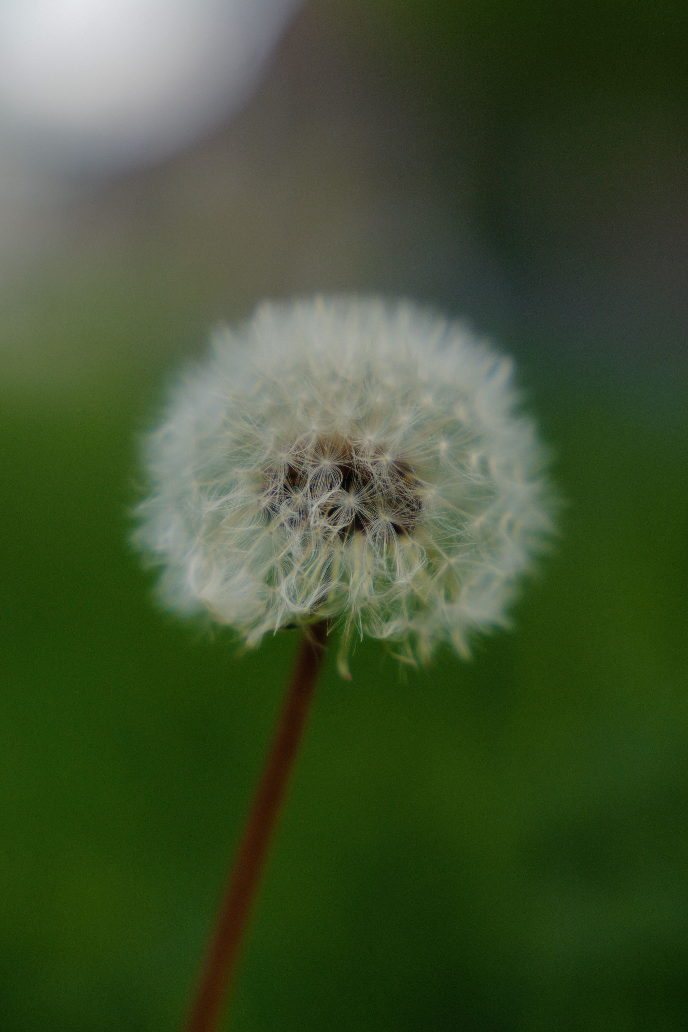 A photo taken on a Leica SL3-S mirrorless camera