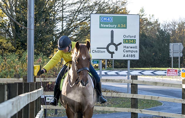 horse road crossing