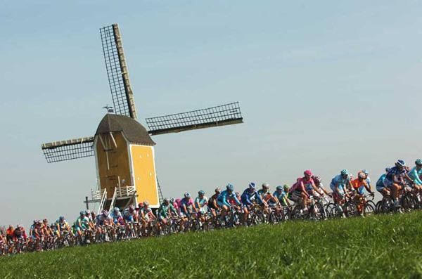 The peloton rolls past a windmill.