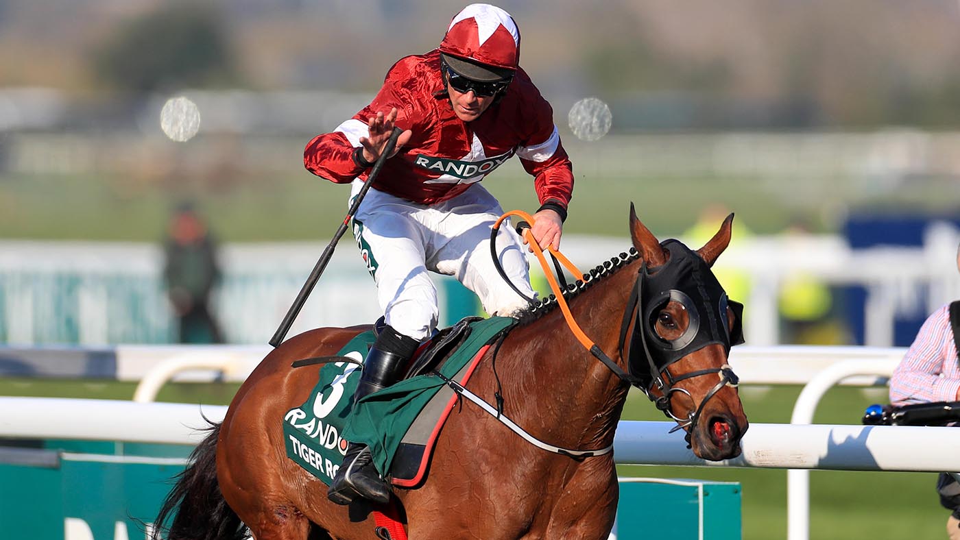 Davy Russell and Tiger Roll winning the 2019 Grand National