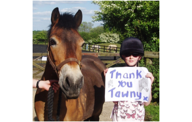 Tawny