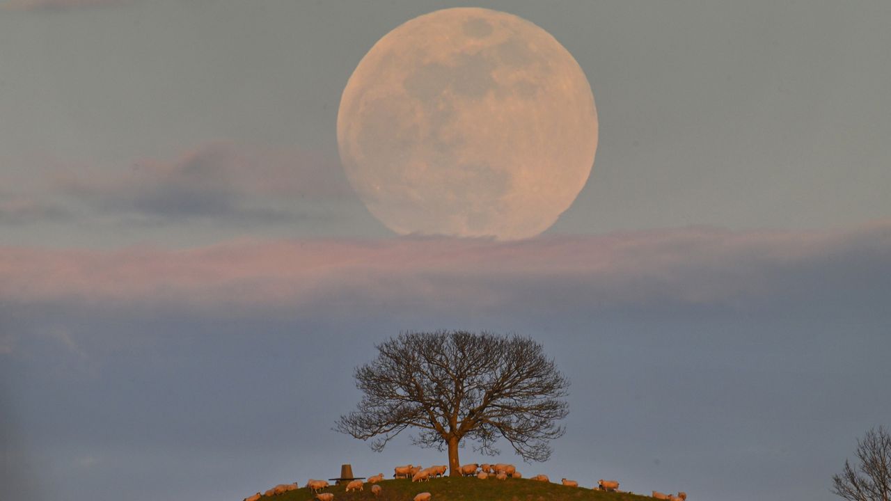 How to catch the perfect full moonrise — just in time for the Blue Moon show on May 30