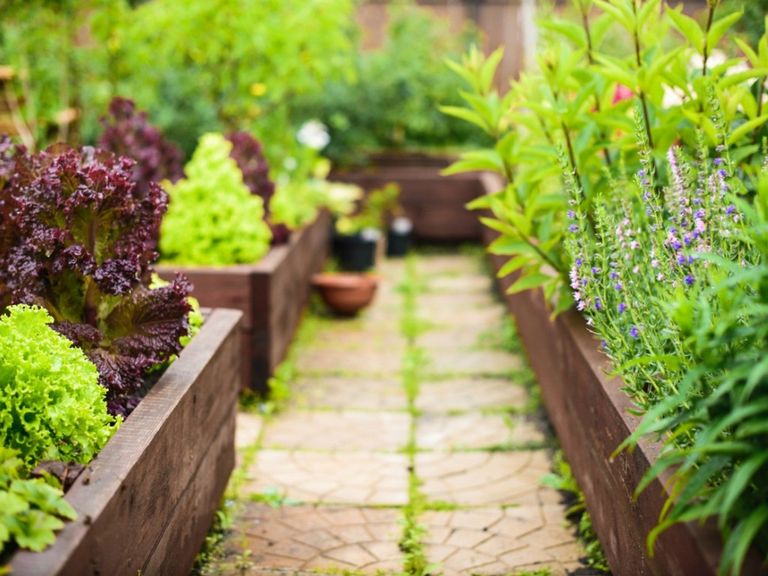 Painted Raised Bed Info Can You Paint Raised Beds Gardening Know How