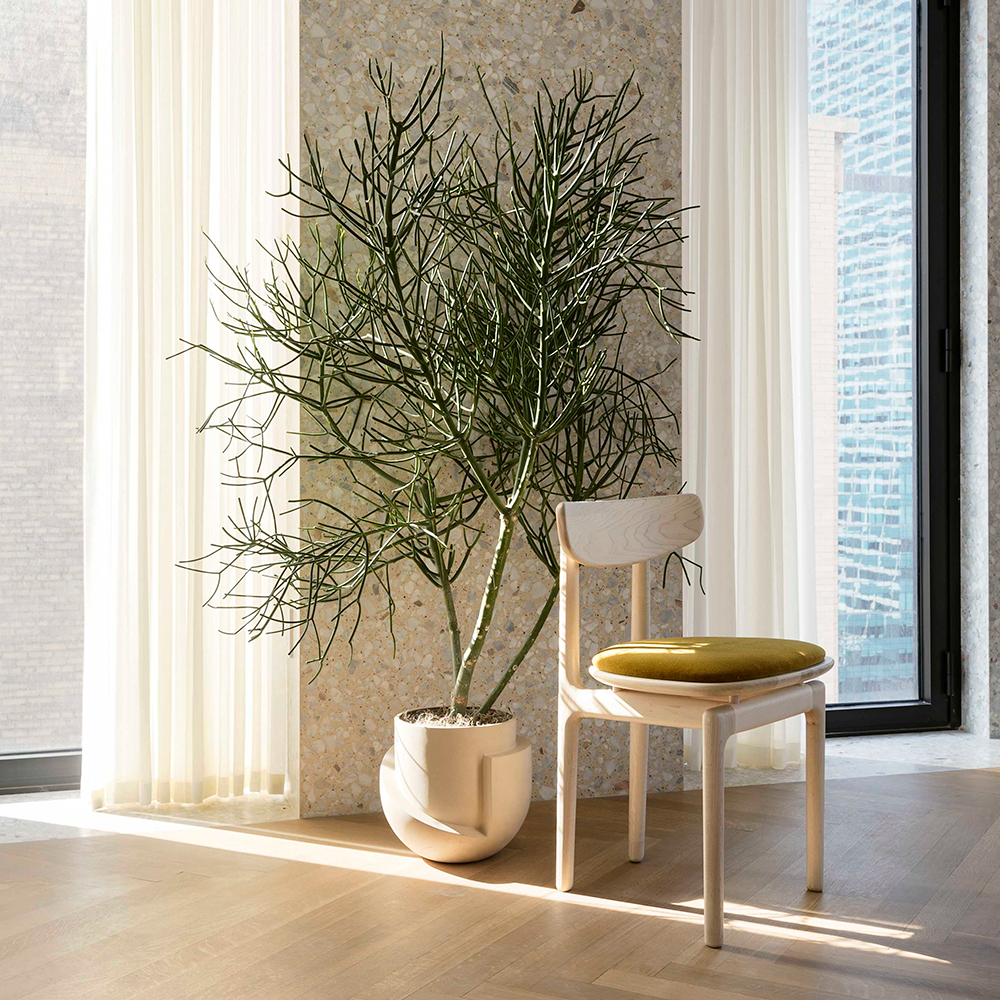 A photo of an indoor pot plant with a yellow vase and a wooden chair and a yellow cushion.
