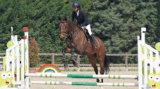 Horse jumping fence with dangling front legs, demonstrating a need to improve jumping technique