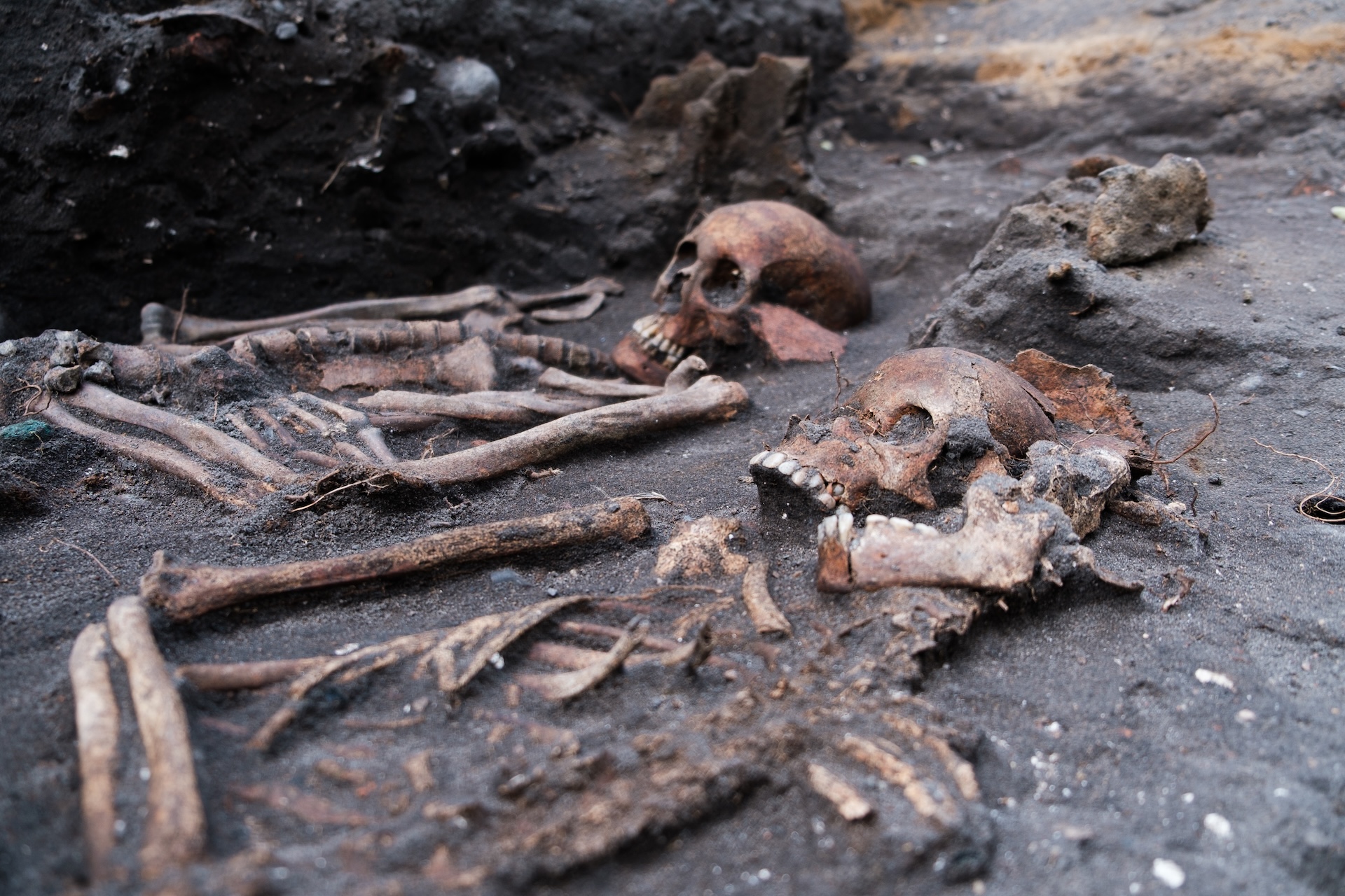 two skeletons lie side-by-side in a grave