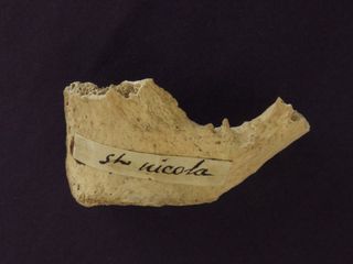 The partial pubic bone, thought to belong to St. Nicholas, resides at the St. Martha of Bethany Church/Shrine of All Saints, in Morton Grove Illinois.