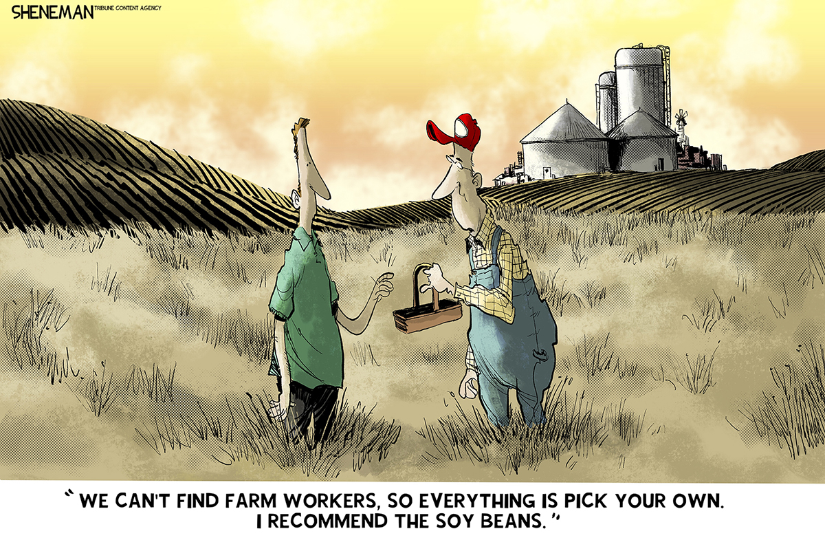 This cartoon is set in a field on a farm. There is a farmer here handing an empty basket to a man. The farmer says, “We can’t find farm workers, so everything is pick your own. I recommend the soy beans.”