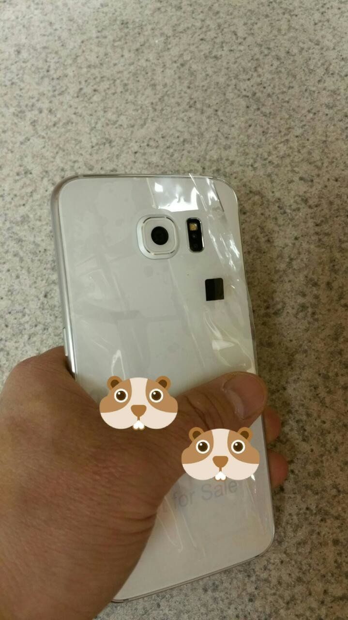 GS6 Leak