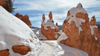 Bryce Canyon in the deep snow