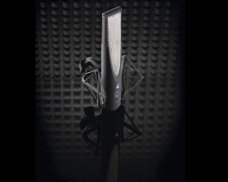 SE Electronics RNR1 review | MusicRadar