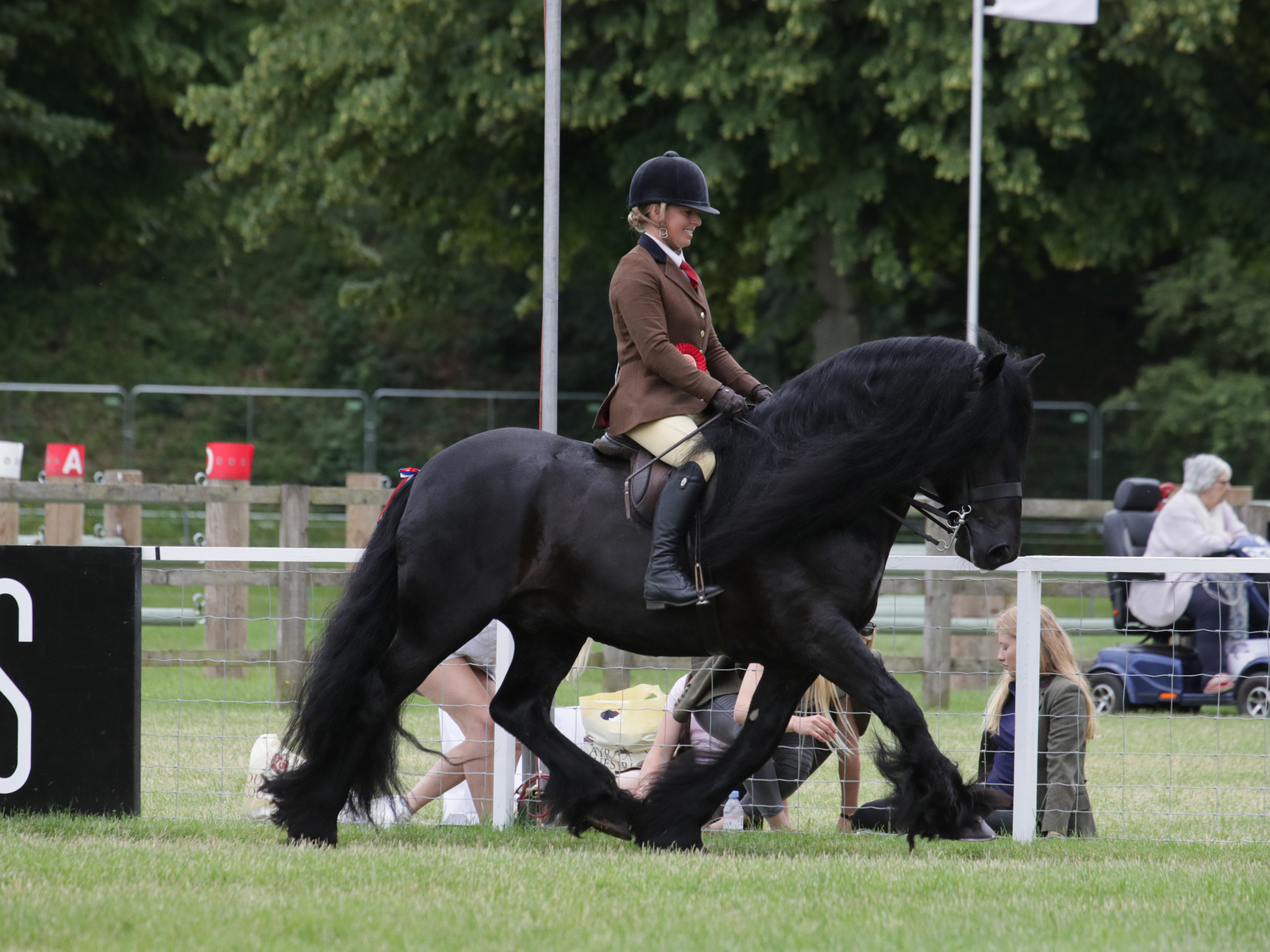Nipna Midnight Rambler and Sarah Parker are M&amp;amp;M ridden champions at the 2021 Royal Windsor Horse Show