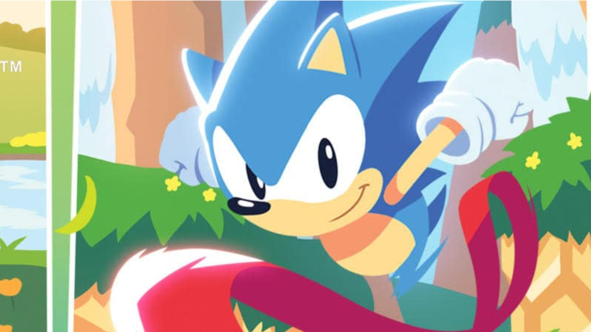 A panel of IDW Publishing's Sonic The Hedgehog