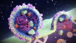 illustration of an RNA virus spilling its contents into a cell to infect it; there's a cut-away through the virus so you can see the RNA molecule inside