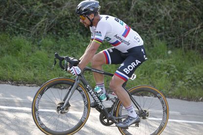 Peter sagan cheap road bike