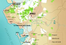 000009bfb-Jerez_Vineyards_snapshot_Sherry_Institute.jpg