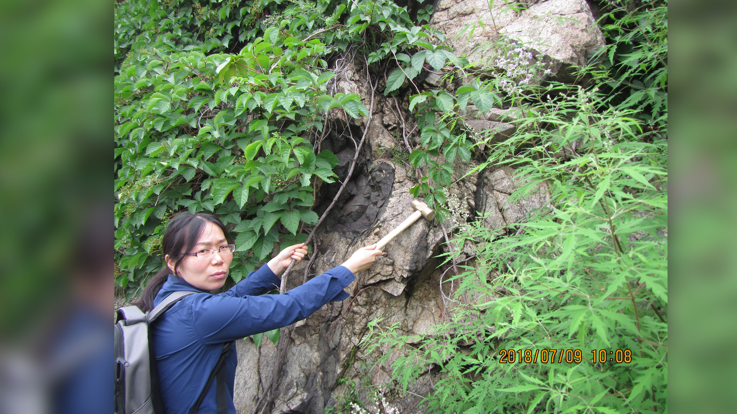 Lu Wang uncovers dense brush at the site of Archean eclogite at Shangying, China.