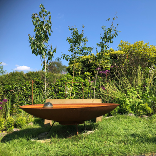 A steel water bowl sitting in a landscaped (and very sunny) garden