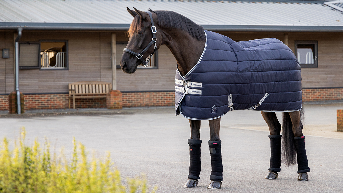 Lemieux Arika Stable-tek rug
