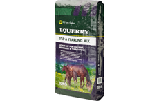 EQUERRY-Stud-Yearling-Mix.png