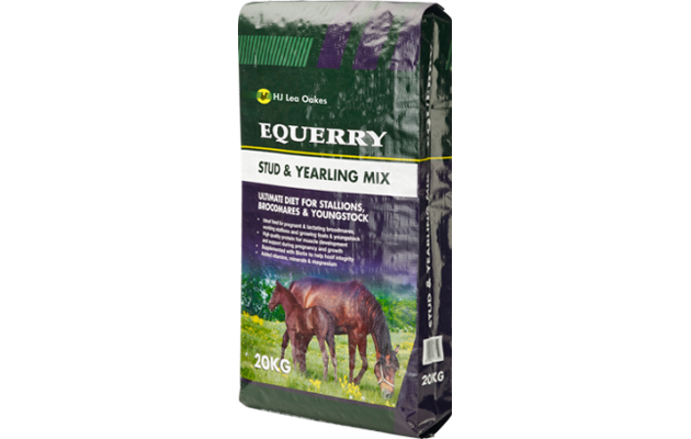 EQUERRY-Stud-Yearling-Mix.png