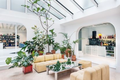 White living room with skylights, brown sofas and an assortment of green leafy plants