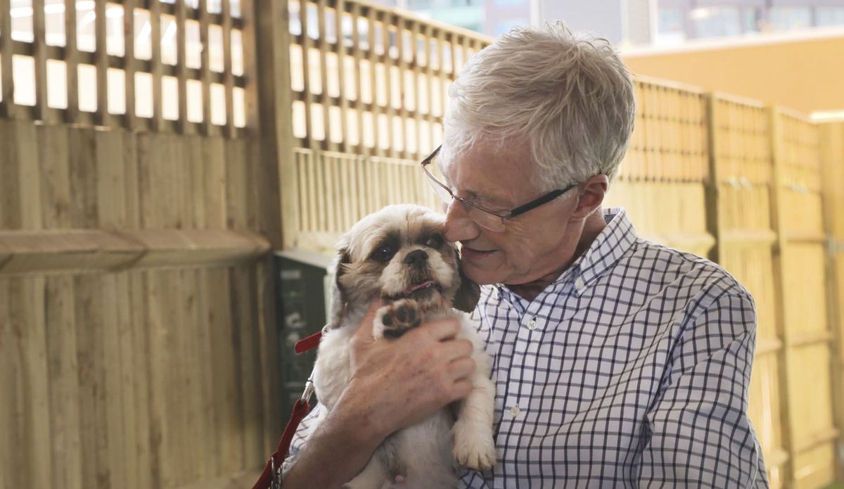 TV tonight Paul O&#039;Grady: For the Love of Dogs