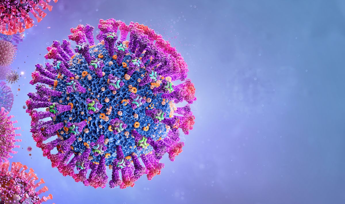 What is a coronavirus?