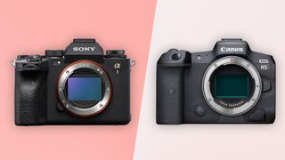 Sony A1 vs Canon EOS R5