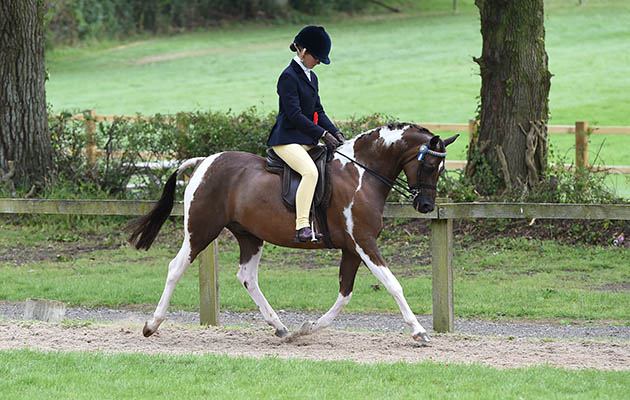 HOP GARDEN PLAYBOY, exhibited by Abbie Kirkbride winner of the Mr &amp;amp; Mrs A Colosso Skewbald &amp;amp; Piebald Junior Championship during The Longines Royal International Horse Show (CSIO 5*) held at The All England Jumping Course at Hickstead in West Sussex in the UK between 25 - 30th July 2017